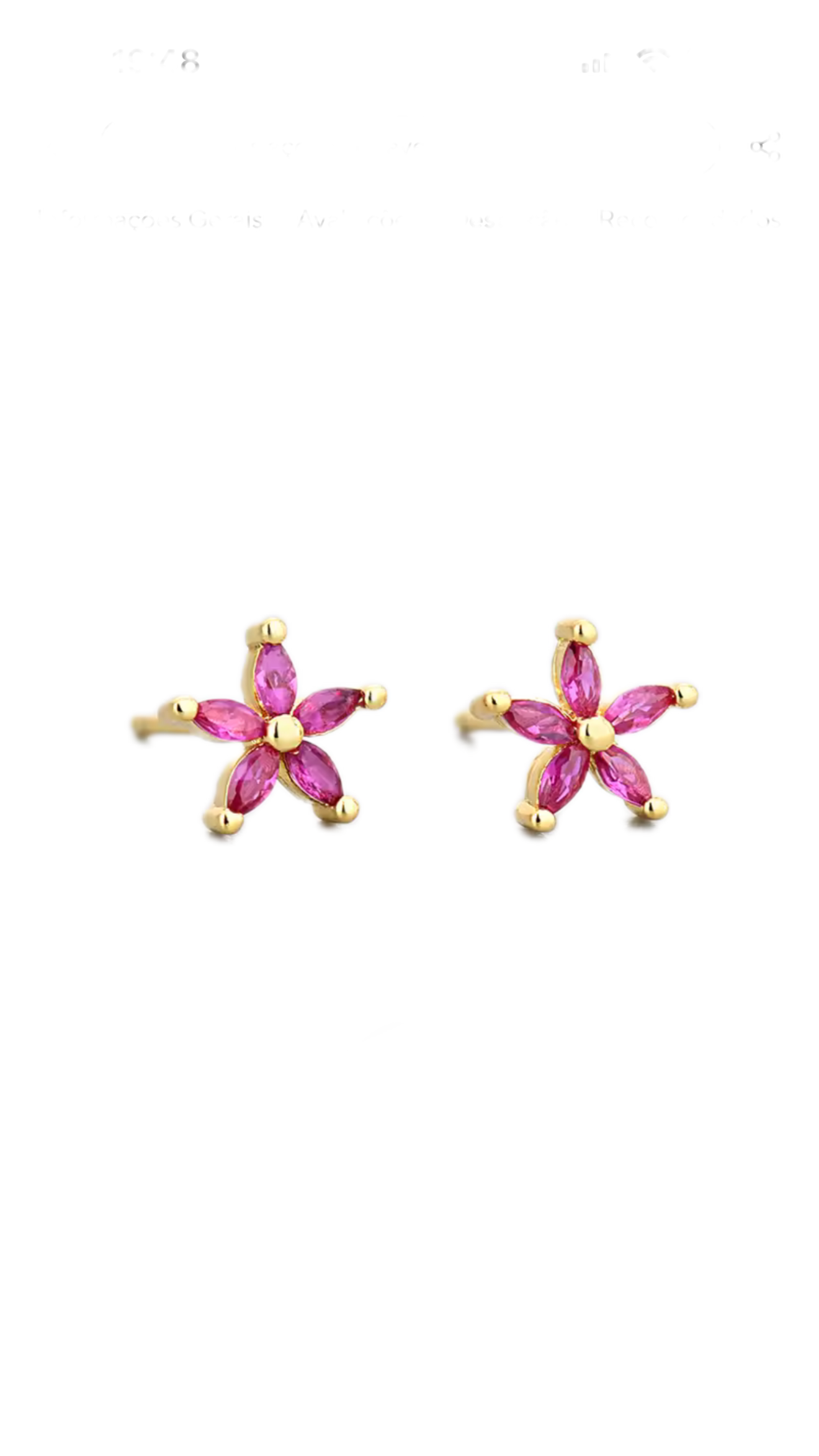 Brincos Flor Rubi